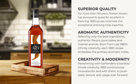 1883 Maison Routin Dulce de Leche Syrup milkshake context suggests indulgent treat at home.