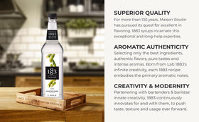 1883 Maison Routin Pure Cane Sugar Syrup dessert topping, subtle sweetness.