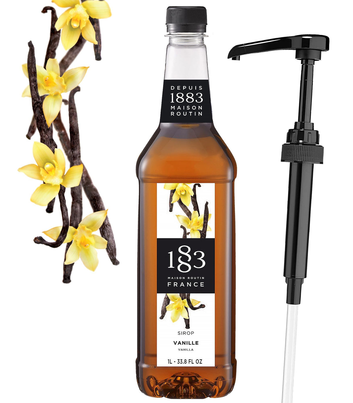 1883 MAISON ROUTIN vanilla syrup bottle front with pump for premium coffee flavor