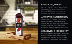 1883 Strawberry Syrup cocktail creation with vibrant garnish