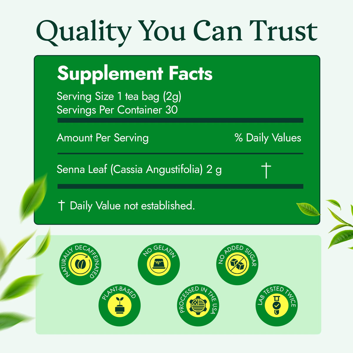 3 Ballerina Tea senna leaf close-up for plant-based support.