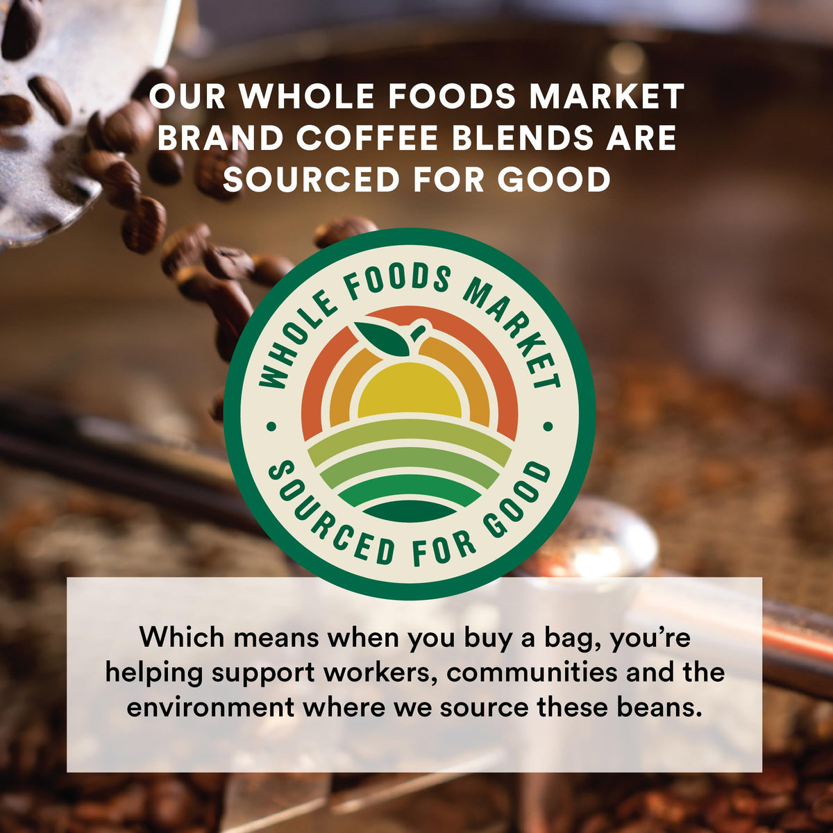 Kitchen setup with grinder and 365 by Whole Foods Market coffee bag for home baristas