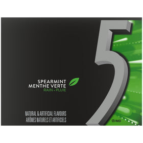 5 Gum Rain-Tingling Spearmint close-up shows mint texture and cool sensation.