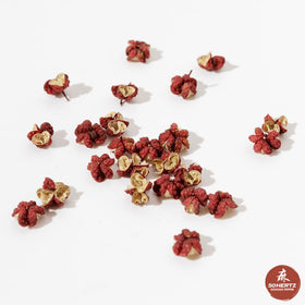 50Hertz Red Sichuan Peppers Mapo tofu-ready seasoning idea.