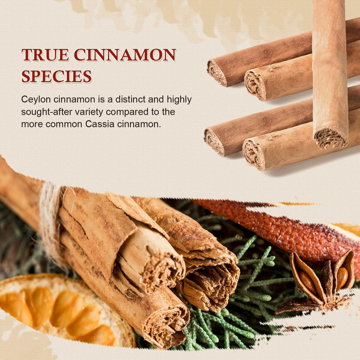 52USA Cinnamon sticks in a cooking bowl showcasing versatility