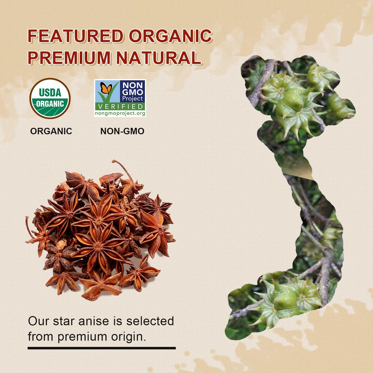 52USA Organic Star Anise used in baking spice blends and desserts