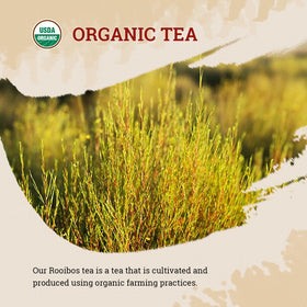 52USA Rooibos Tea organic 250g packaging ready for stocking.
