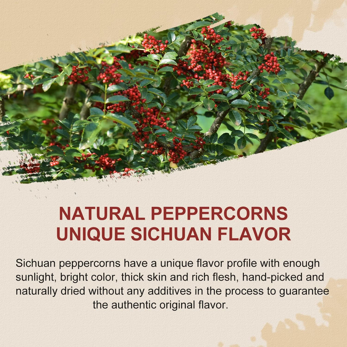 52USA Szechuan peppercorns aroma close-up highlights citrus notes.