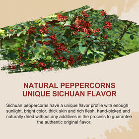 52USA Szechuan peppercorns aroma close-up highlights citrus notes.