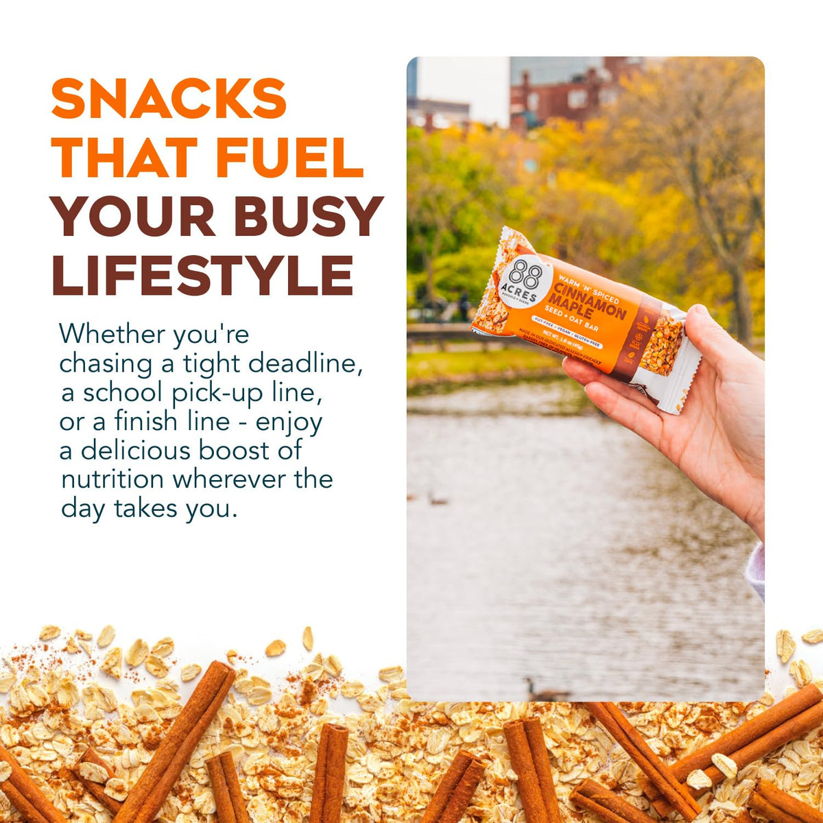 88 Acres Cinnamon Maple bars ingredients spread with seeds and oats.
