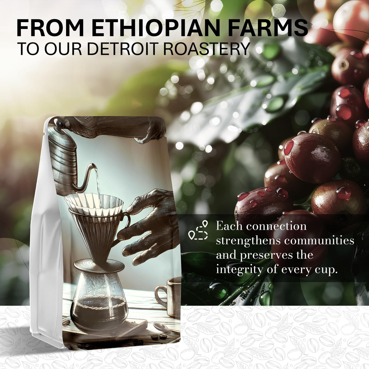 A Pensive Man's Coffee origin farm photo emphasizing high elevation and careful sourcing.