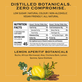 Abstinence Lemon Aperitif garnished with lemon and mint for a bright finish.