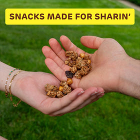 Absurd Snacks maple cinnamon gluten-free and allergen-friendly snack option.