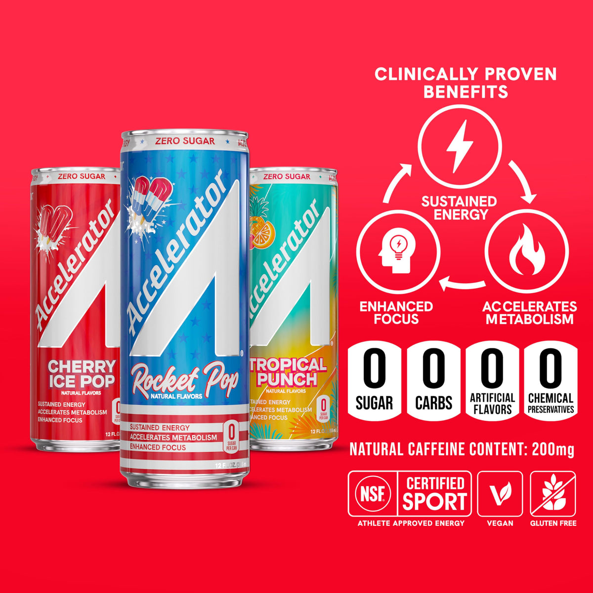ACCELERATOR CoQ10 green tea blend 12oz can for focused energy