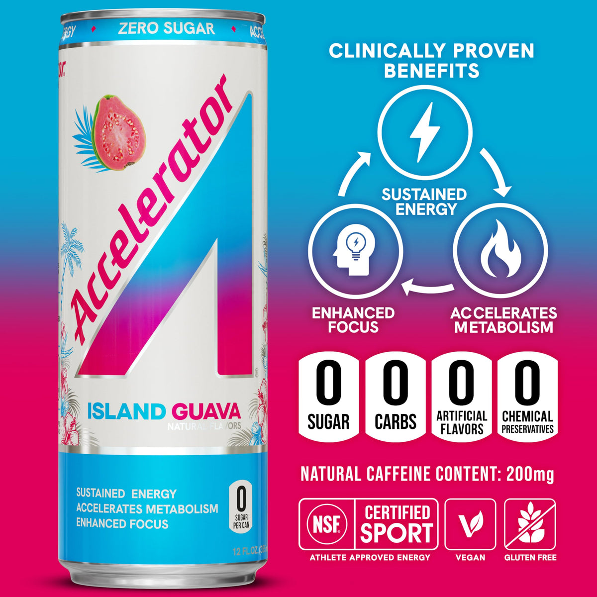 Six‑pack of Accelerator Island Guava on a counter with tropical garnish.