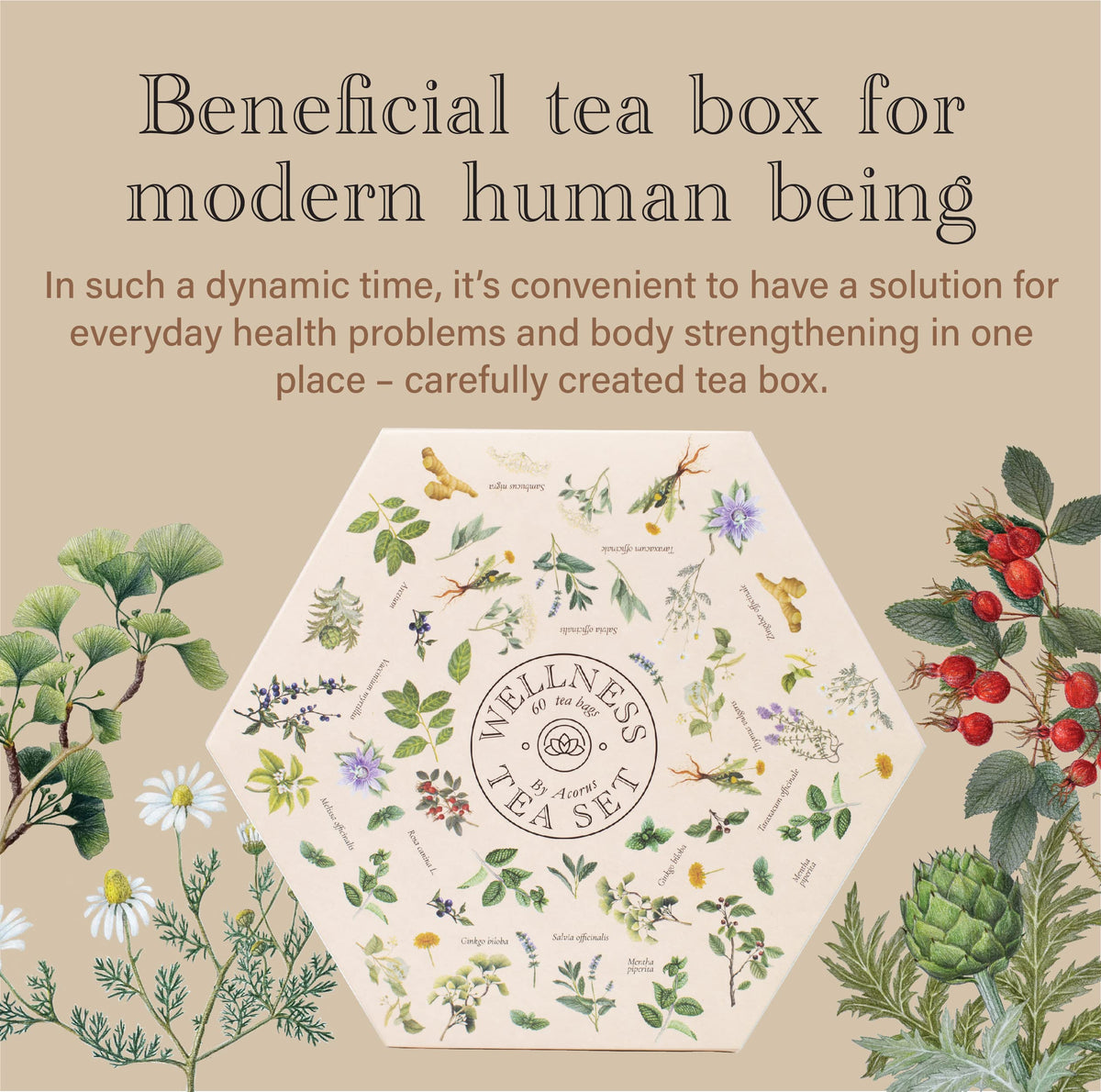 ACORUS sage blend tea, herbaceous aroma for mindful moments.