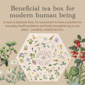 ACORUS sage blend tea, herbaceous aroma for mindful moments.