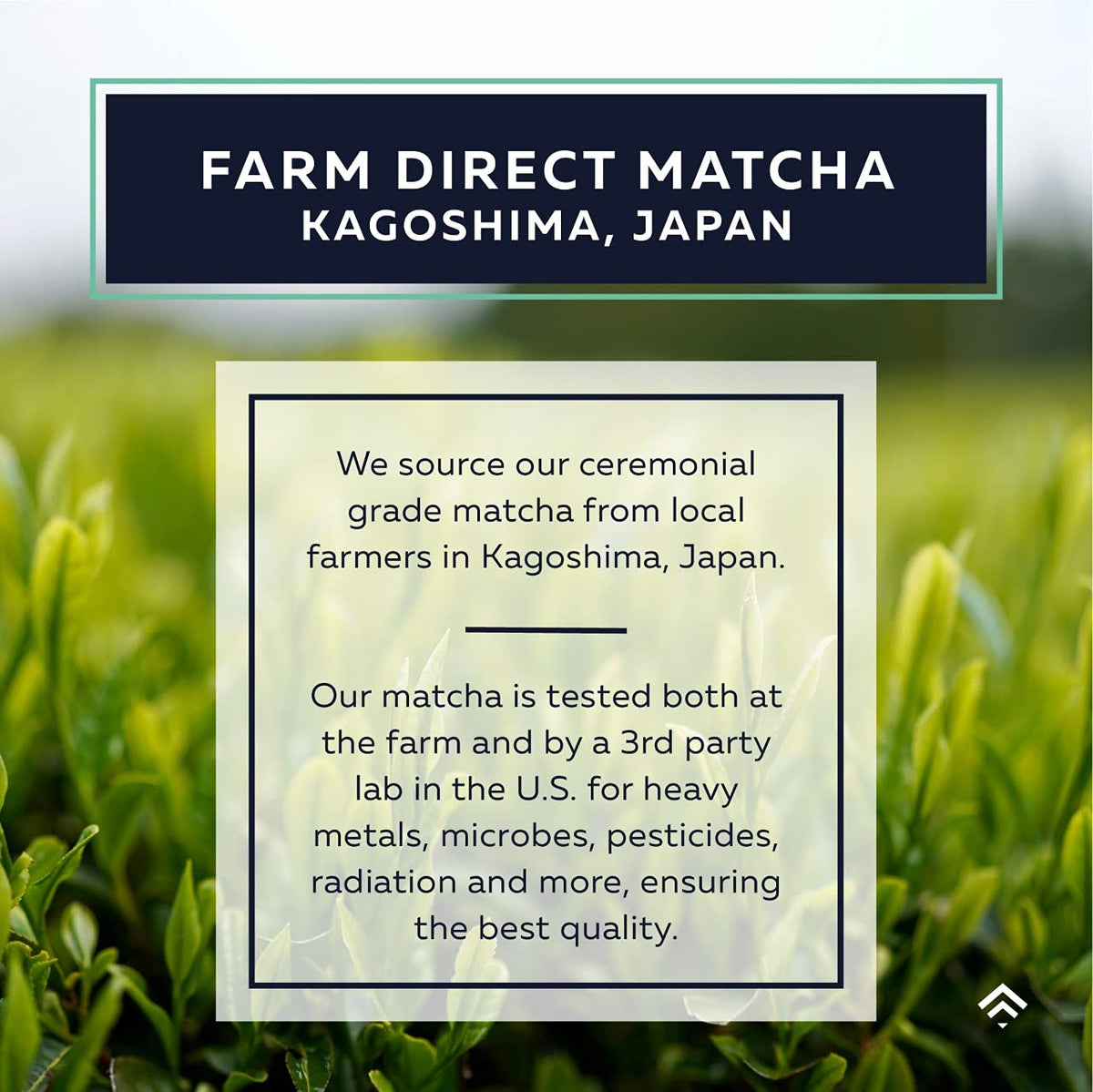 ACTA Matcha Energy Tea Kagoshima origin emphasizes premium ceremonial grade quality.