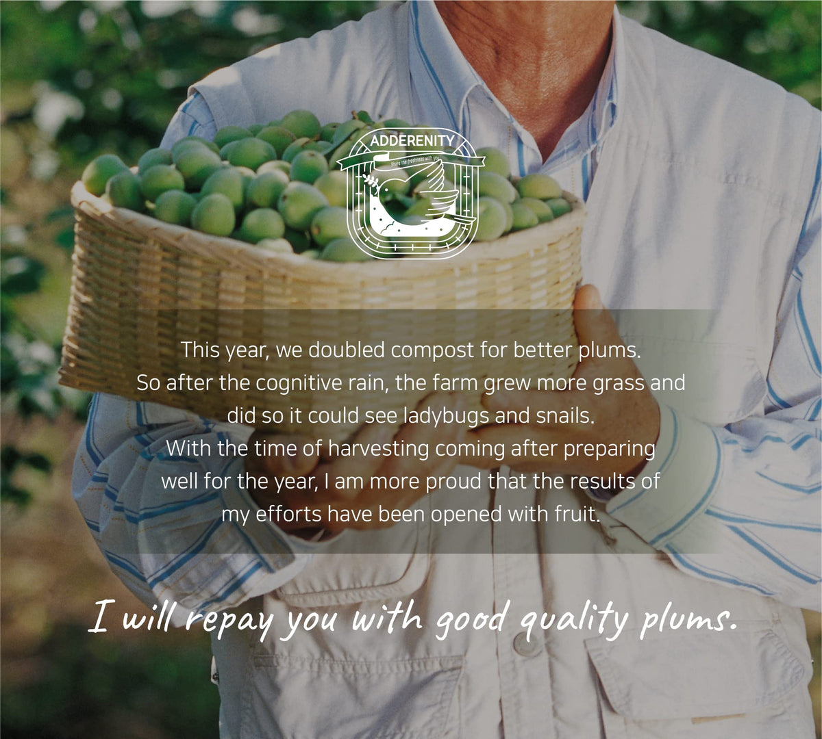 ADDERENITY Maesil packaging label highlighting traditional recipe and aging notes.