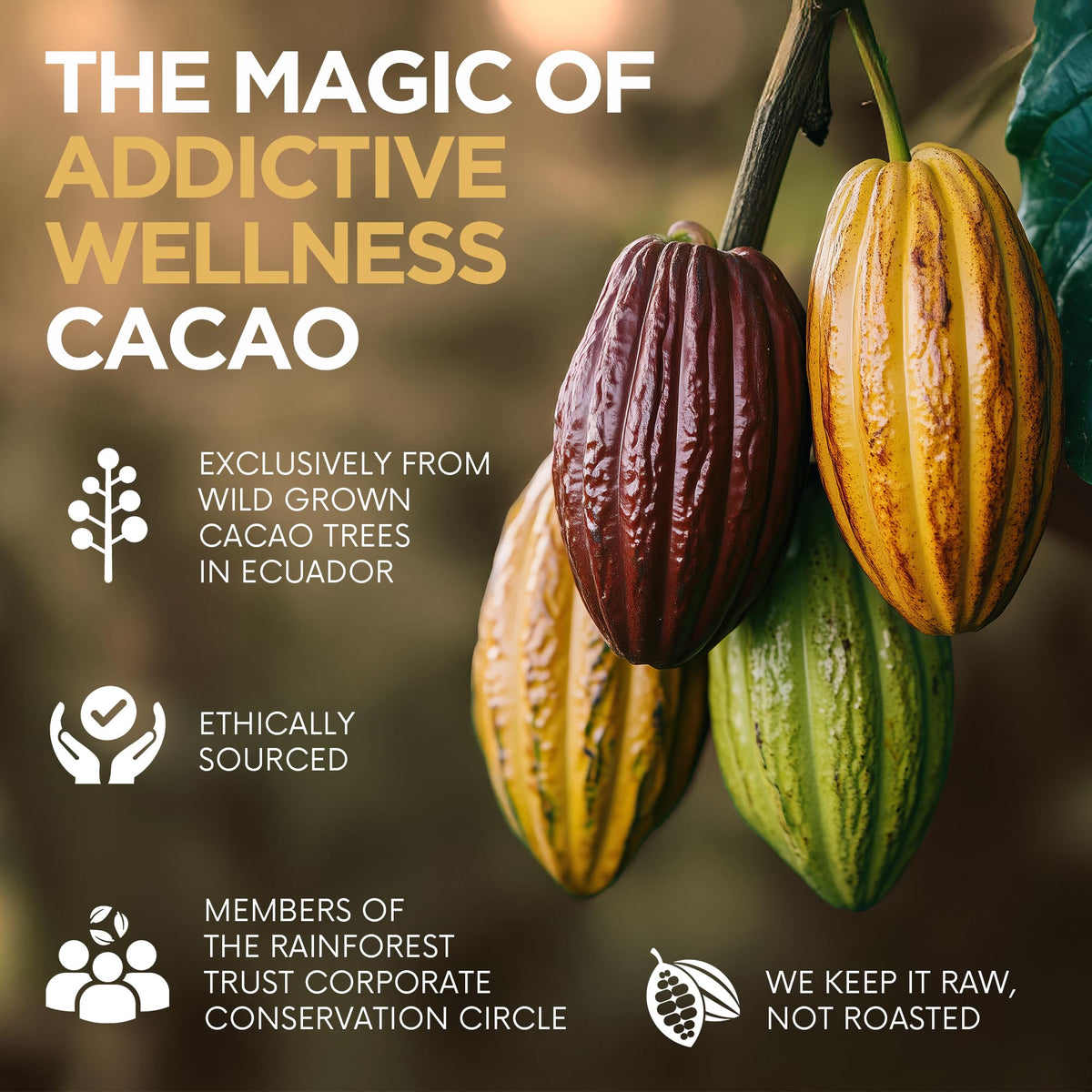 Addictive Wellness raw cacao powder dispensing scoop suggests versatile use in smoothies and desserts.