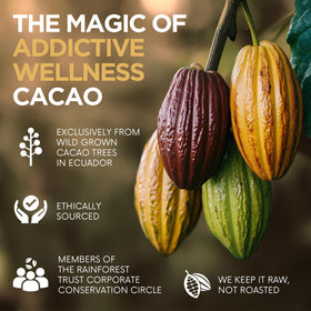 Addictive Wellness raw cacao powder dispensing scoop suggests versatile use in smoothies and desserts.
