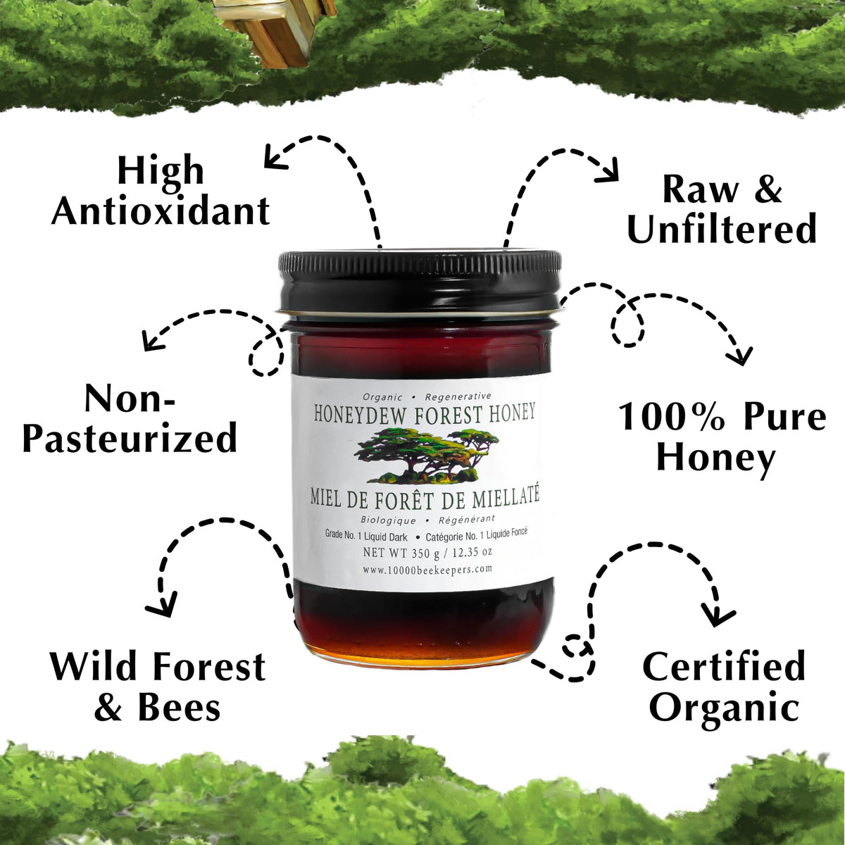 African Bronze Seal Honeydew Forest amber honey on scoop for drizzle