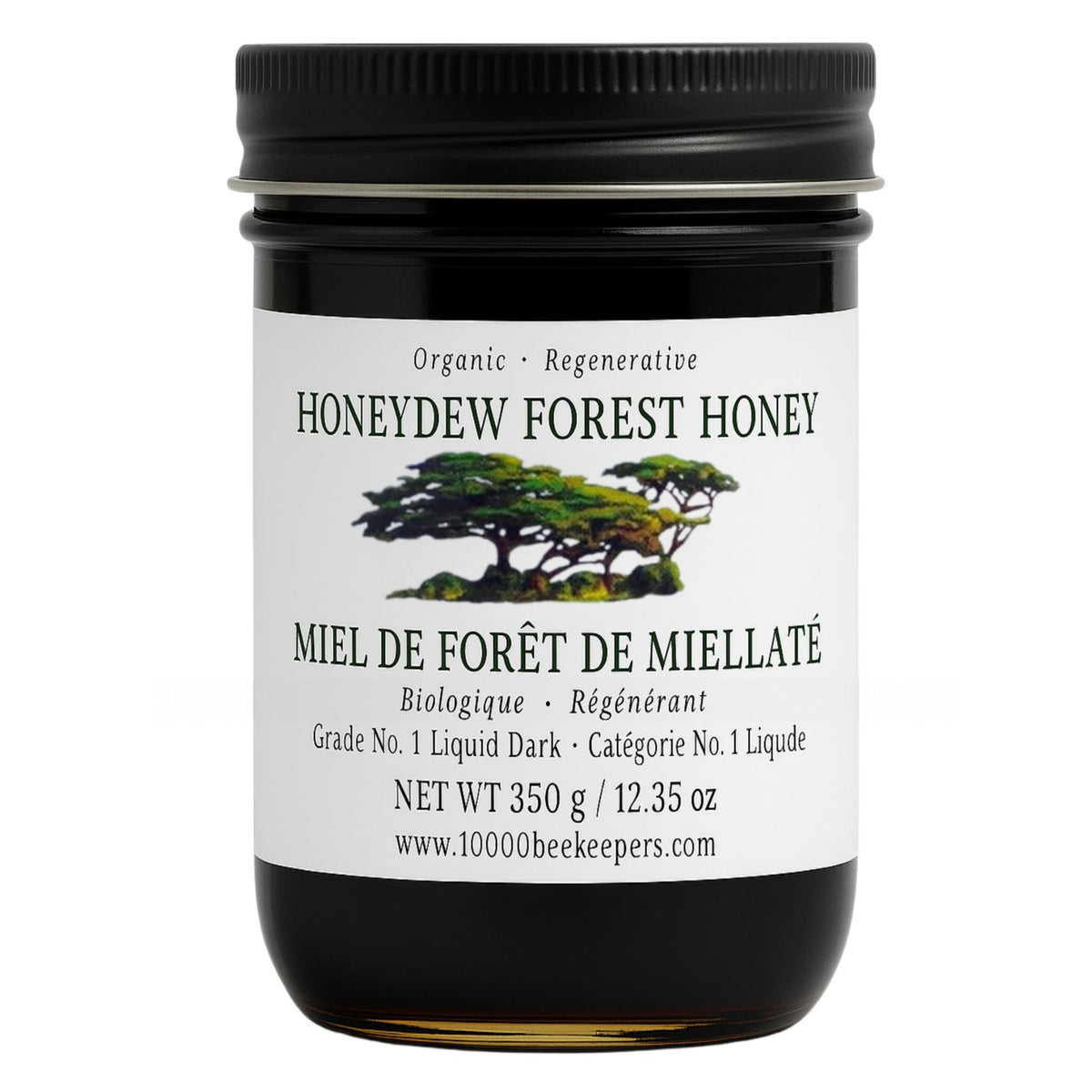 African Bronze Seal Honeydew Forest raw honey in glass jar for natural sweetness