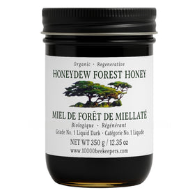 African Bronze Seal Honeydew Forest raw honey in glass jar for natural sweetness