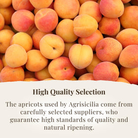 Agrisicilia Sicilian Apricot Jam on toasted bread reveals rich color and aroma