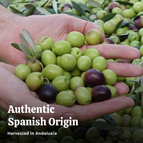 AGROSEVILLA ready-to-use olives on pizza, convenient toppings option.