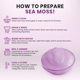 Ahai Life Purple Sea Moss dried sea moss ready for soaking and gel creation