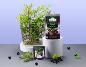 Ahmad Tea Blackcurrant Burst tea bags ready to steep for bold, berry-forward flavor.