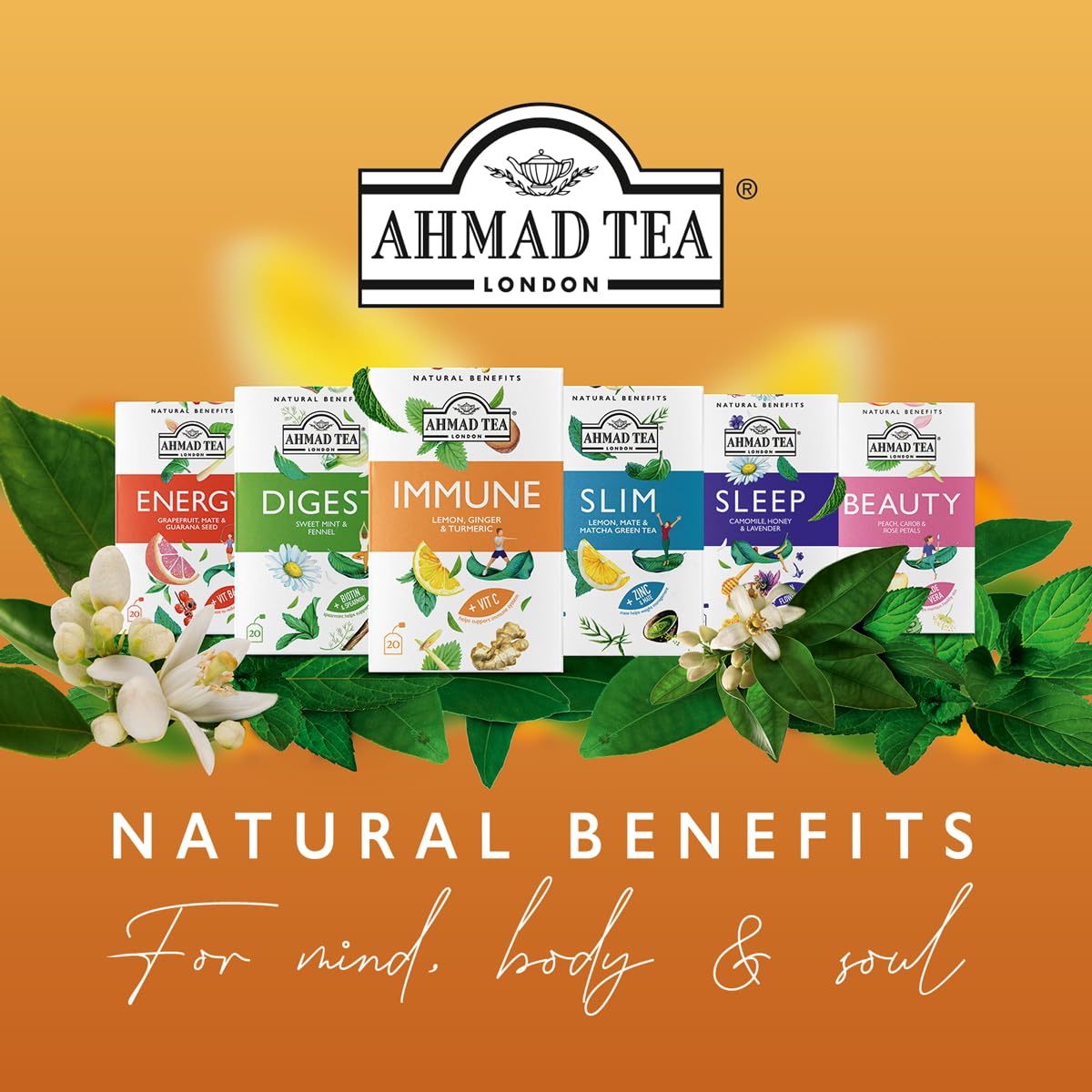 Ahmad Tea Sleep tea steeping for a calm, restful night
