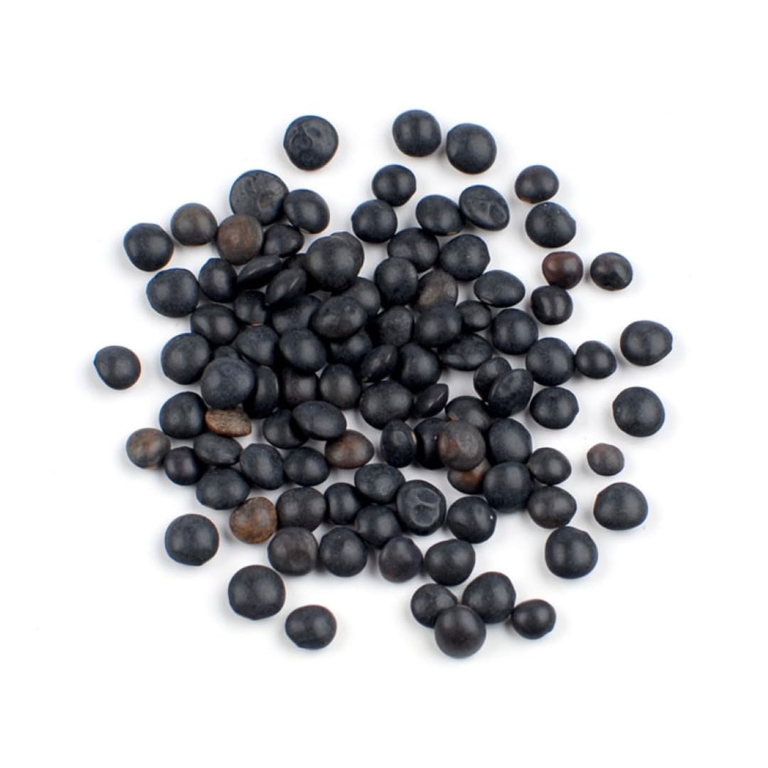 Aiva Beluga Lentils raw grains showing glossy small lentils