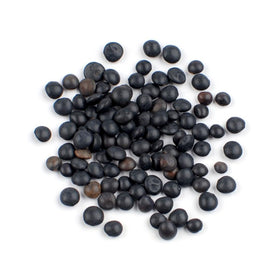 Aiva Beluga Lentils raw grains showing glossy small lentils