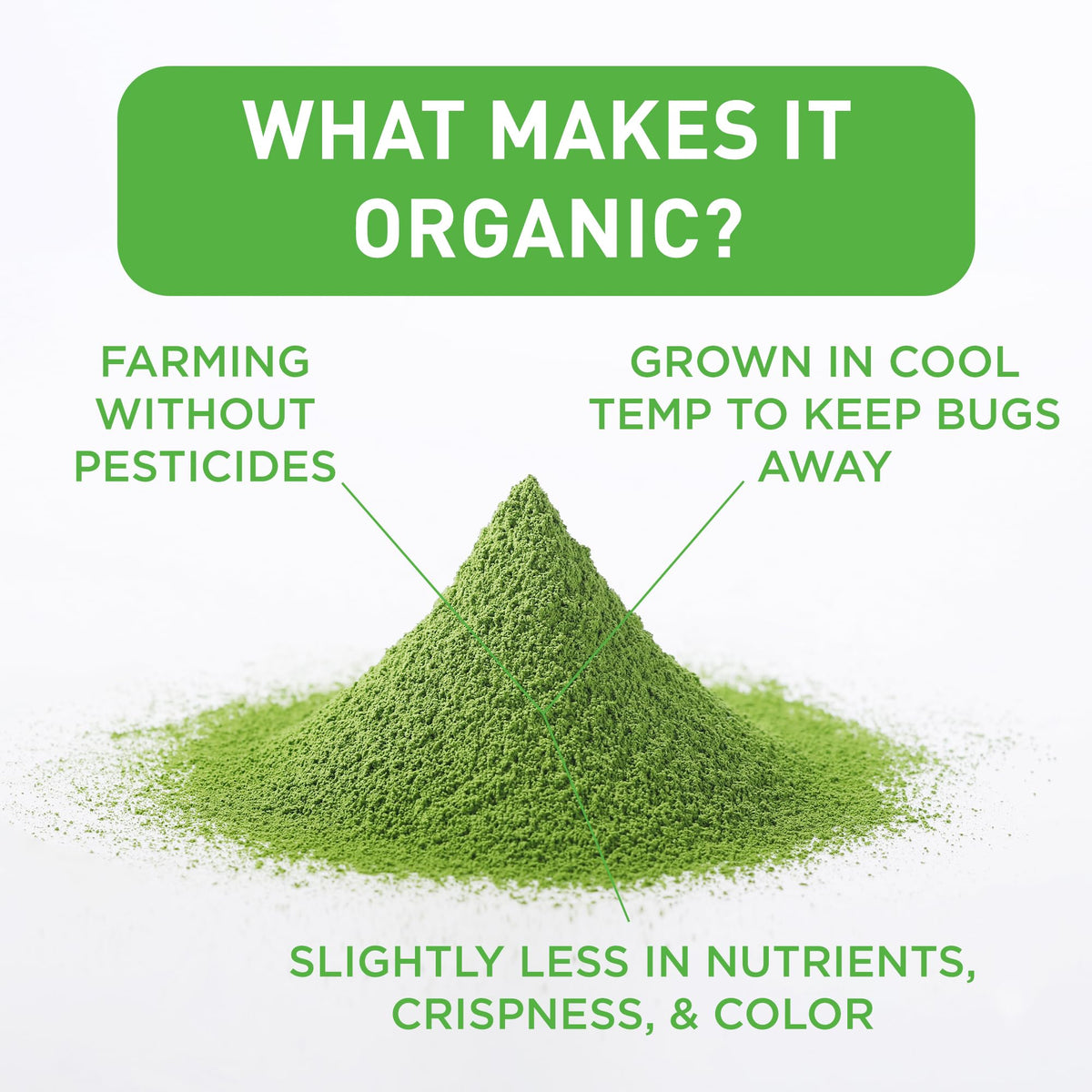 AIYA matcha latte cup—vibrant green, offers balanced energy when enjoyed hot or cold.