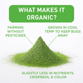 AIYA matcha latte cup—vibrant green, offers balanced energy when enjoyed hot or cold.