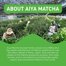 AIYA Matcha To Go prepared cup ready for energizing ritual.