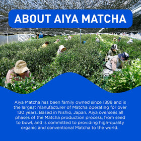 AIYA Sugar-Free Matcha To Go Stick vibrant green color in a glass.