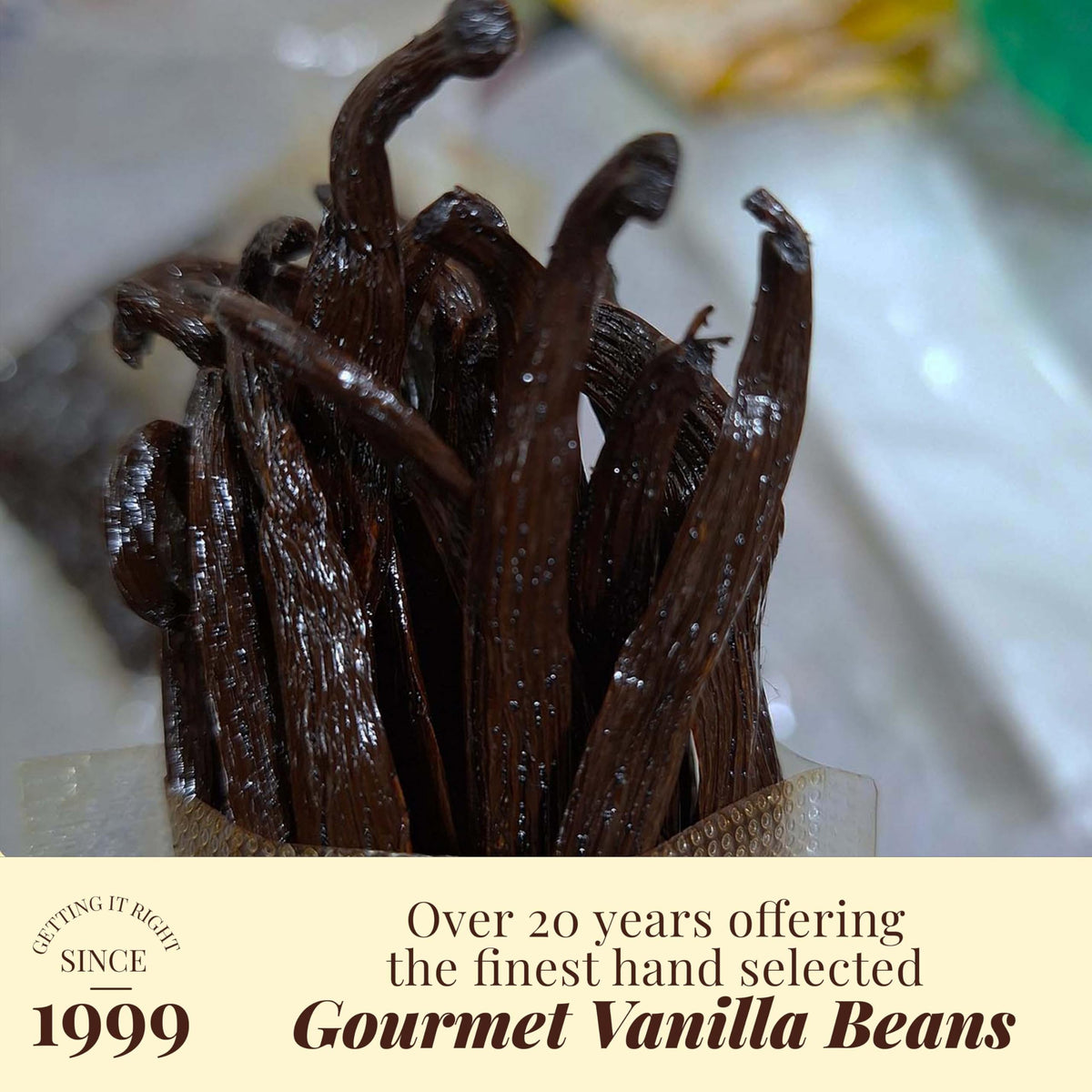 Akshit vanilla beans designed for making vanilla extract