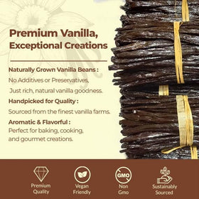 Close-up of Akshit vanilla bean seeds highlighting intensity