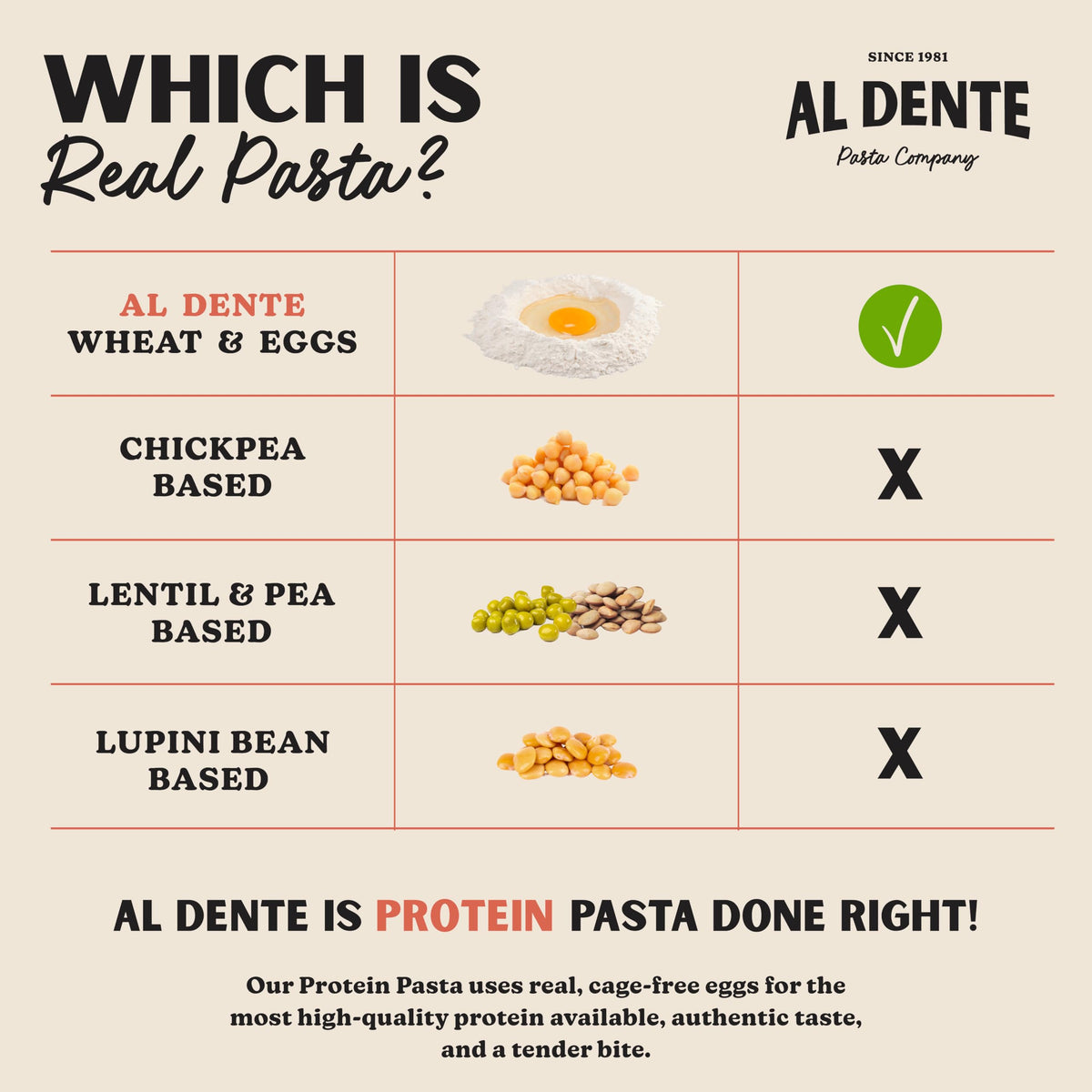 Two 10oz bags of AL DENTE Protein Pasta Egg Fettuccine