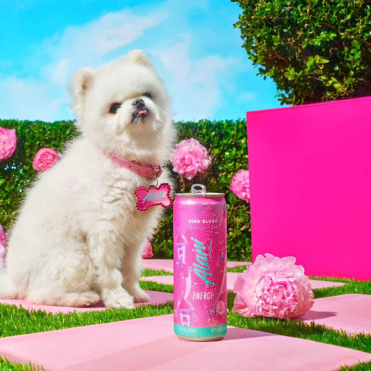 Alani Nu Pink Slush fridge display shows grab-and-go refreshment