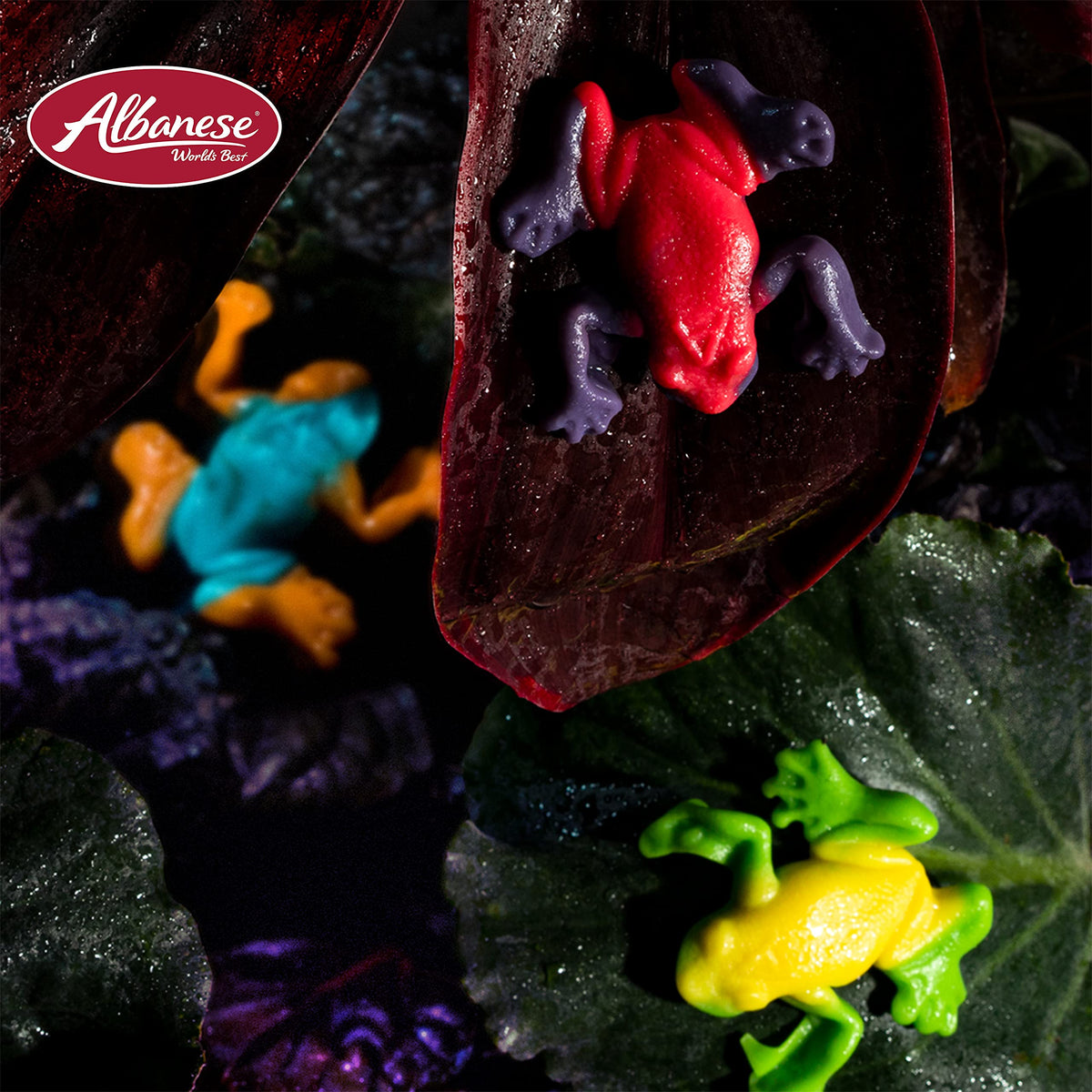 Assorted fruity flavors from Albanese Rainforest Frogs, including Cherry and Mango