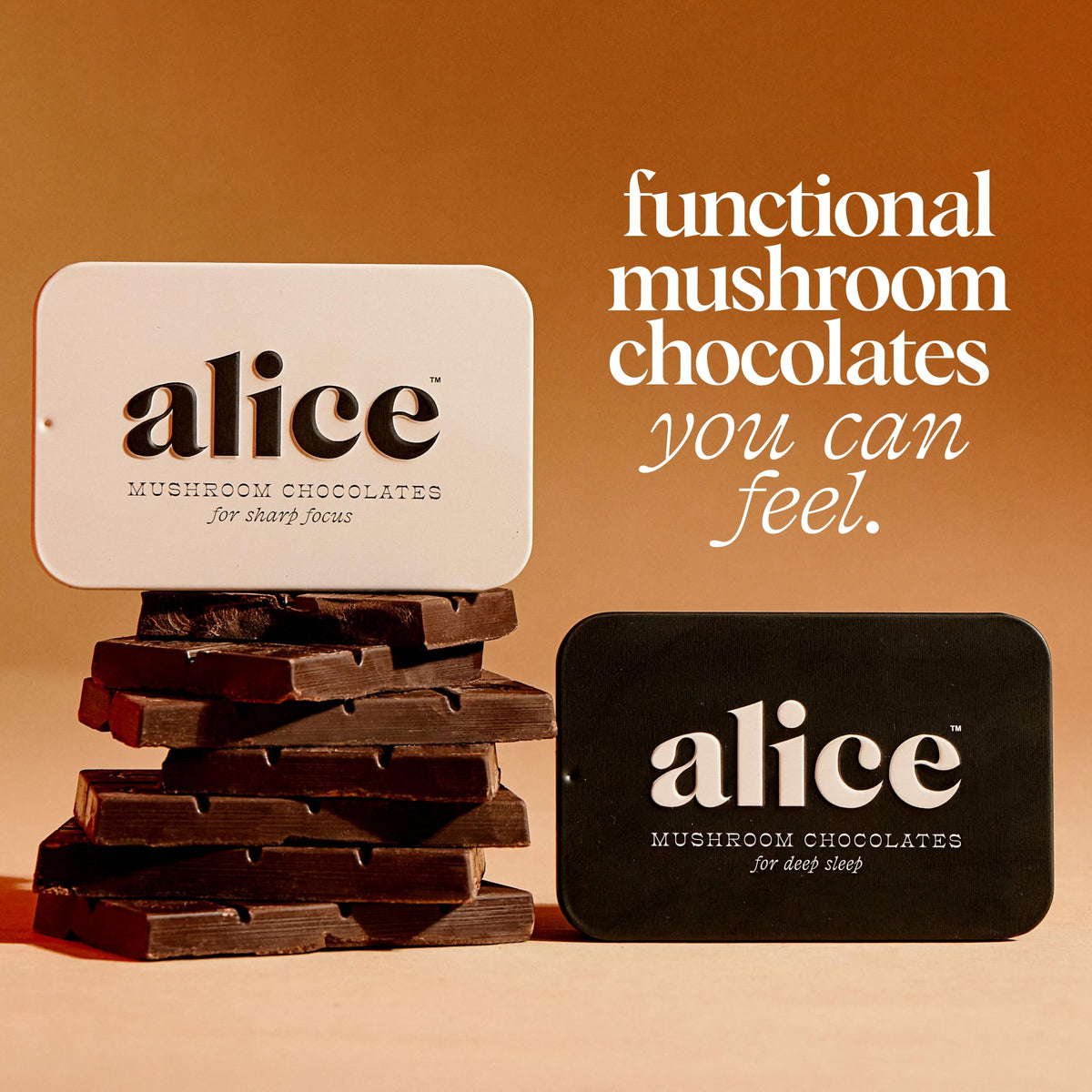 Alice Brainstorm Lion's Mane and Cordyceps for cognitive support.