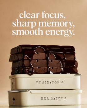 Sun-dried mushrooms in Brainstorm highlighting natural Vitamin D