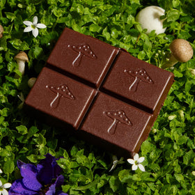 Closeup of Alice Mushrooms Happy Ending bar showing rich texture and color.