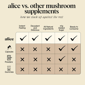 Alice Nightcap chocolate with Reishi for calm evenings.