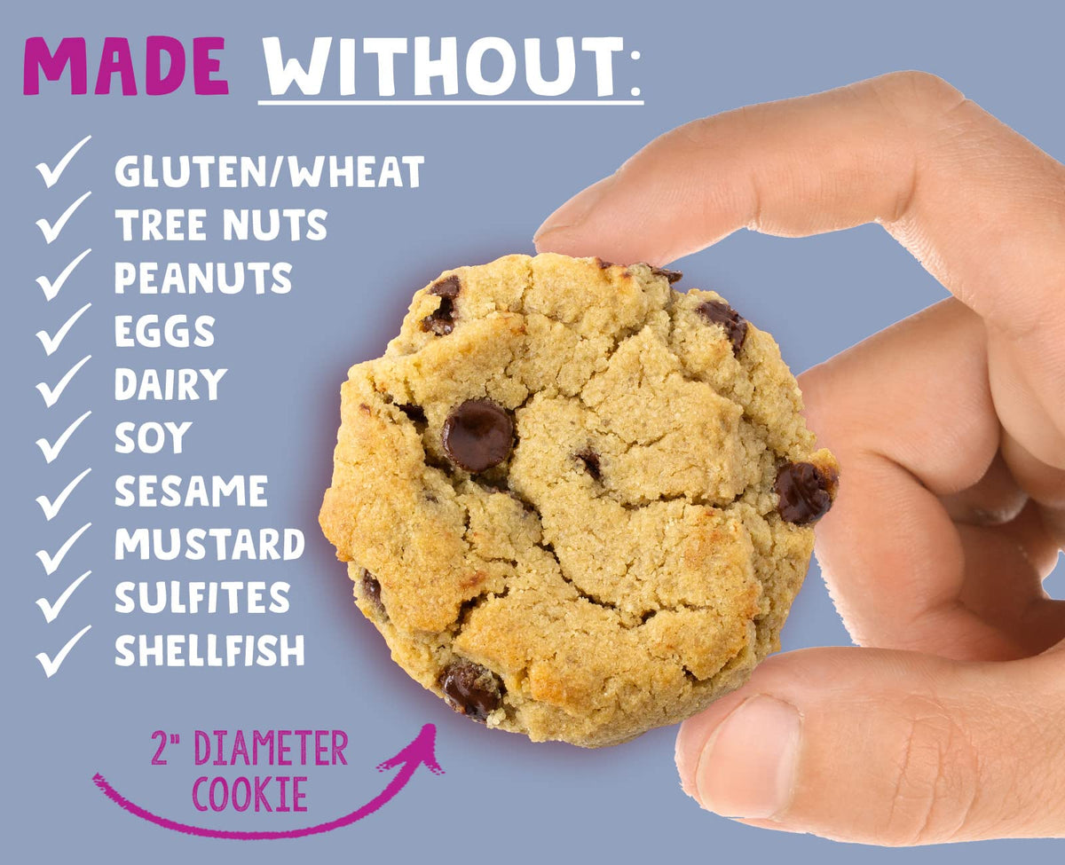 Allergy Smart plant-based vegan ingredients, clean label for families.