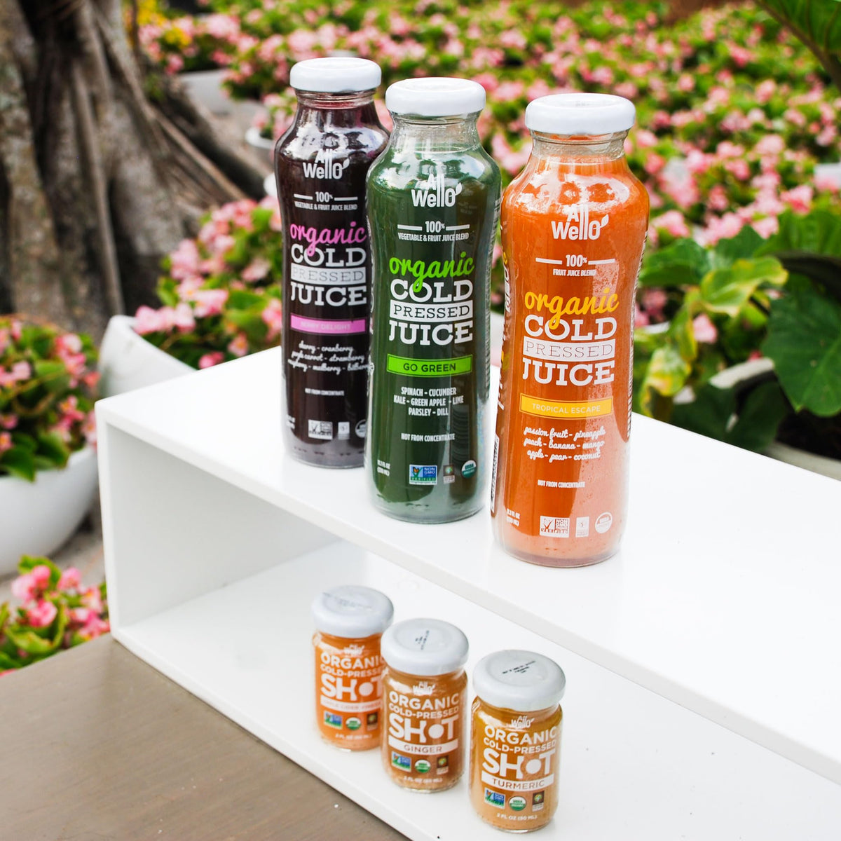 ALLWELLO Berry Delight pour ready for a refreshing antioxidant boost.